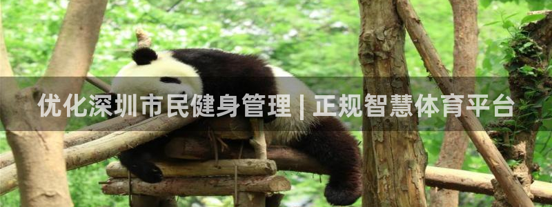 必一体育运动平台官网