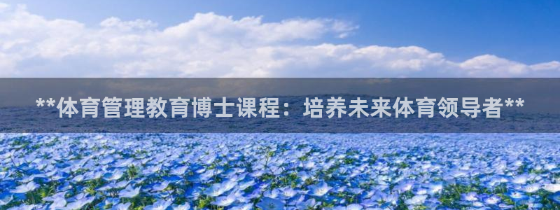 必一体育登录APP下