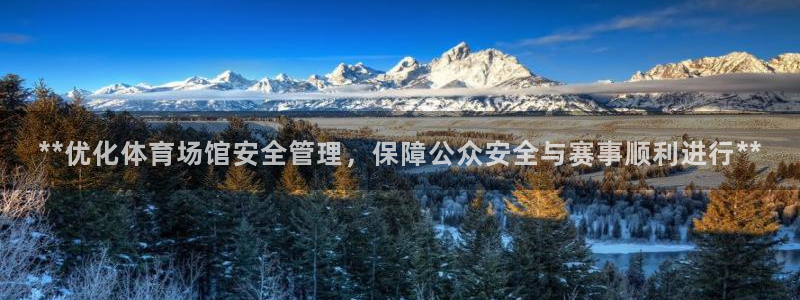 必一体育app下载：