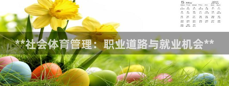 必一运动 b 体育素