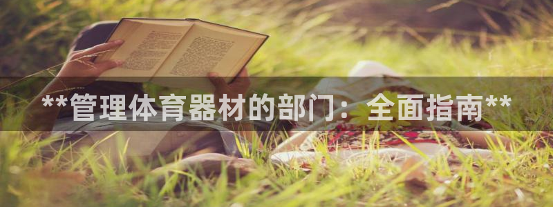 必一体育手机下载：*