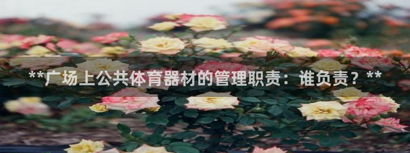 必一体育下载意思：*