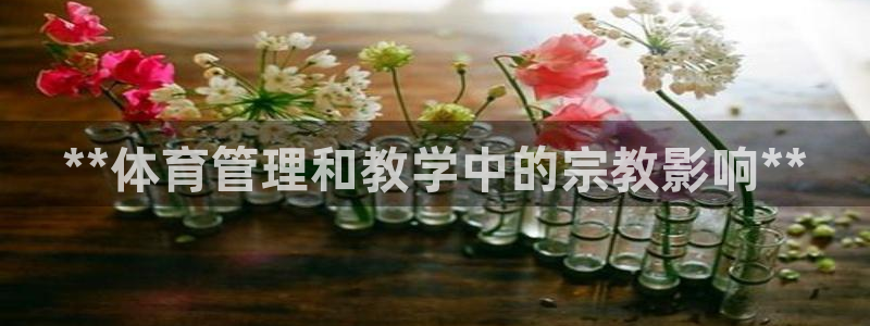 b体育官网下载入口a