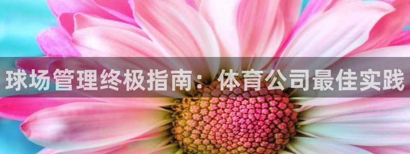 必一体育下载义：球场