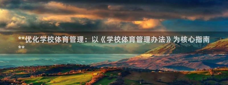 必一体育sport官