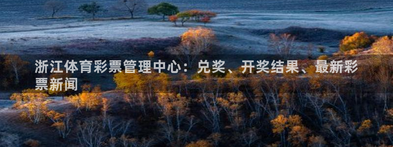 必一体育平台：浙江体