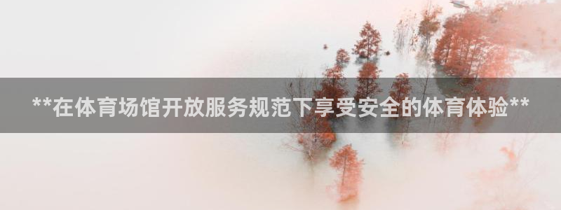 必一体育sport网