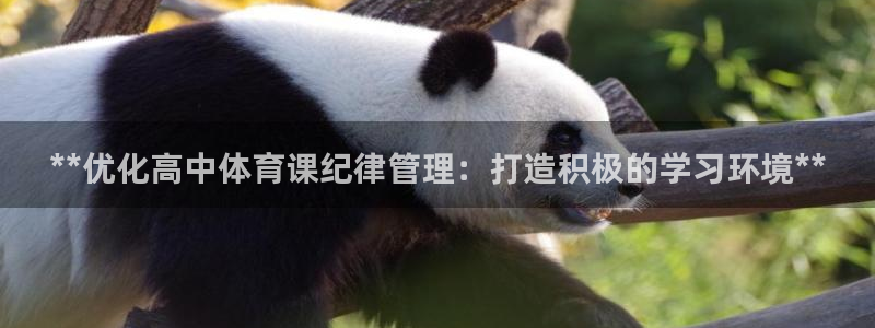 必一体育sport网