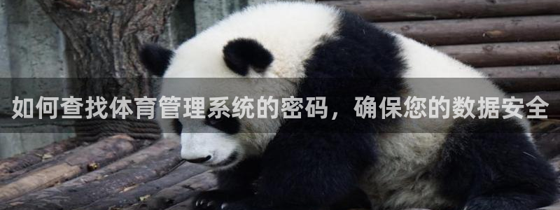 必一体育在线玩：如何