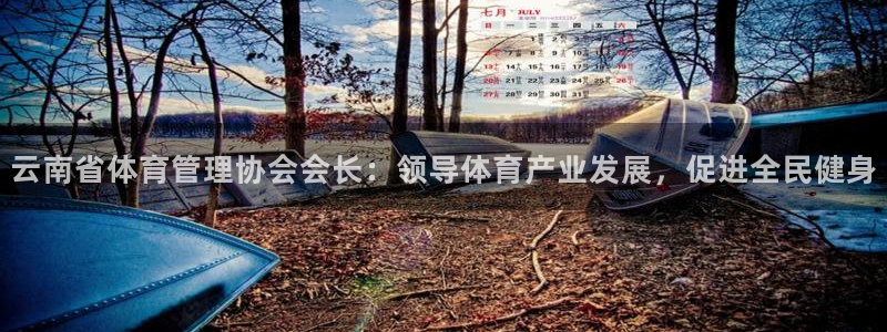 必一体育手机下载：云