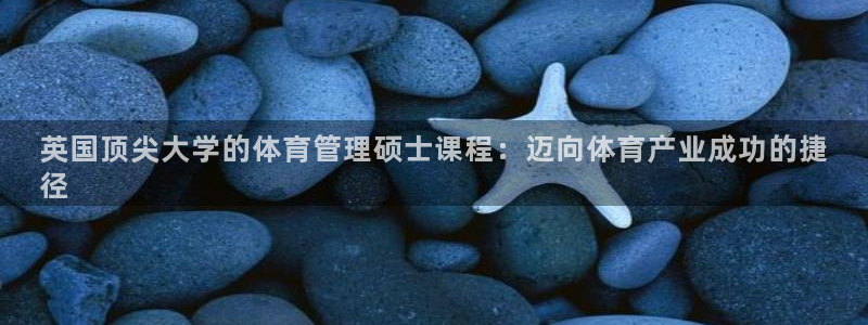 必一体育网页登录版官