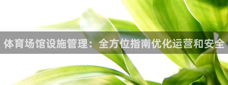必一体育是啥：体育场