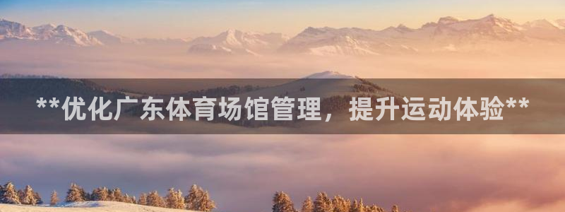 必一体育运动app：