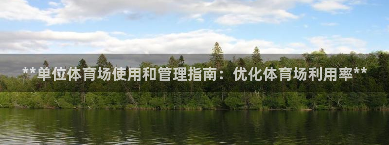 必一体育运动app：