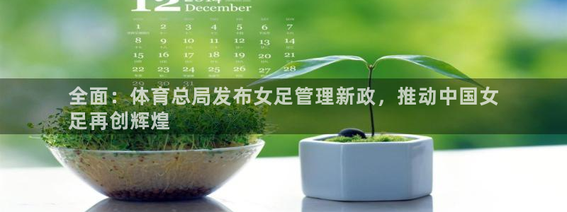 必一体育sport下