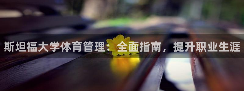 必一体育官方app下