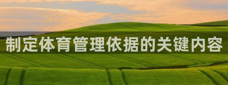 必一体育在哪下：制定