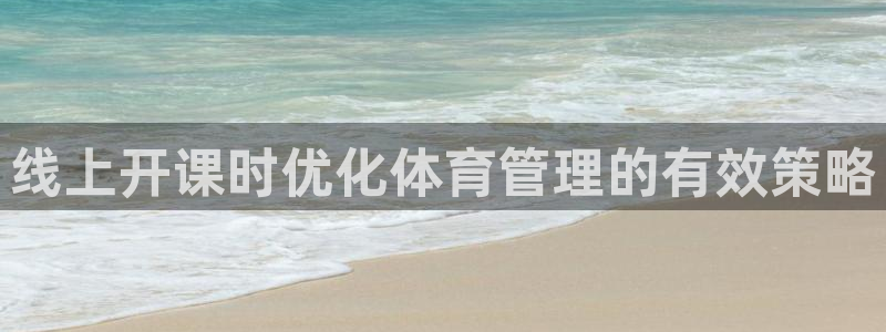 必一体育官方网站入口