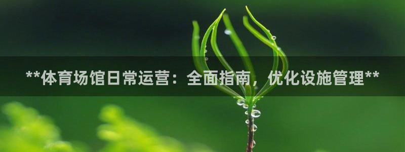 Bsport体育必一