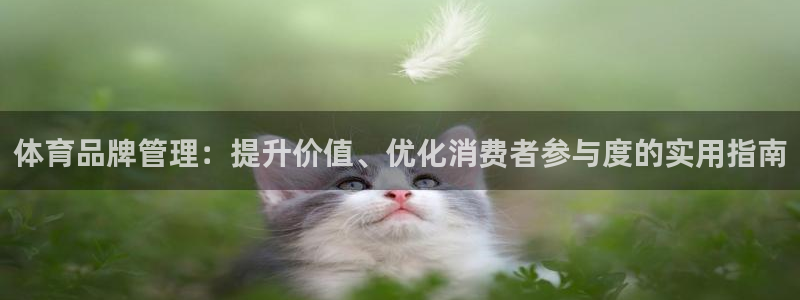 必一体育网页登录版官