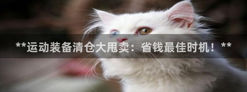 必一体育下载app下