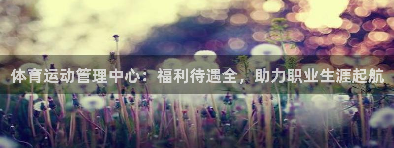 必一体育sport官