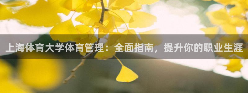 必一体育app平台下