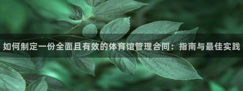 必一体育sport下