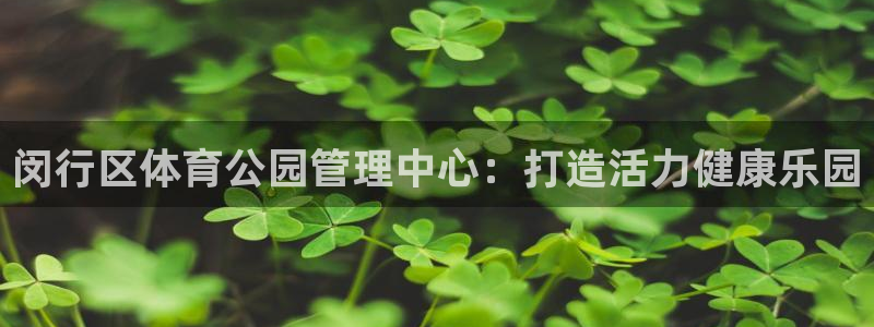 必一运动体：闵行区体