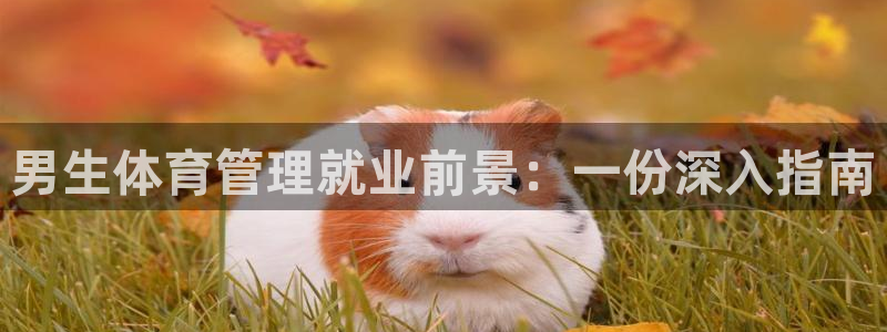 必一体育是啥：男生体