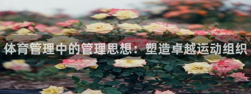 必一体育秀给网：体育