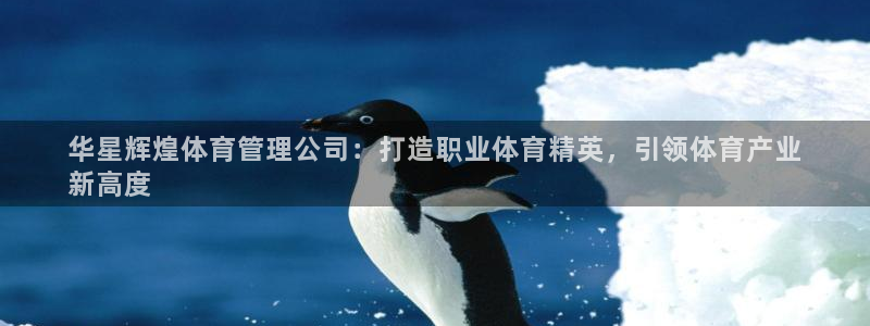 必一体育app下载最新版本：华星辉煌体育管理公司：打造职业体
