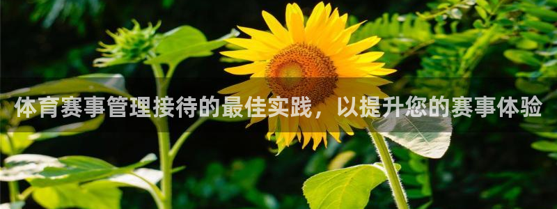 必一体育在线入口：体