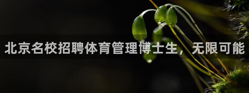 必一运动sport爱