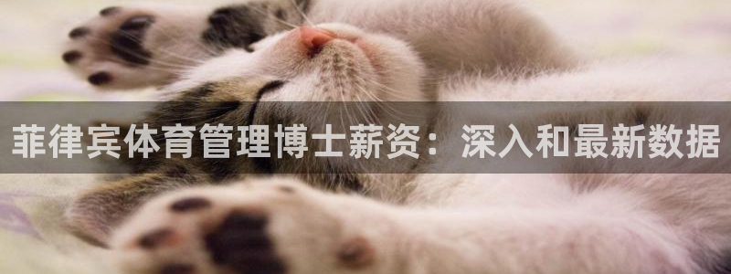 必一体育app官方下载：菲律宾体育管理博士薪资：深入和最新数
