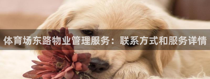 必一运动官网登录入口：体育场东路物业管理服务：联系方式和服务