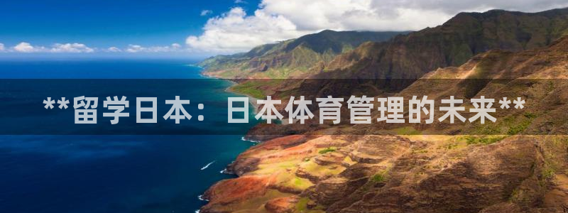 必一体育sport装