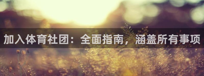 b体育官网下载入口a