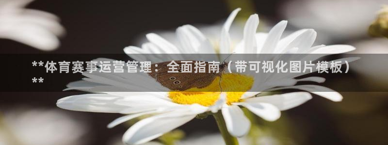 必一体育怎么下载：**体育赛事运营管理：全面指南（带可视化图