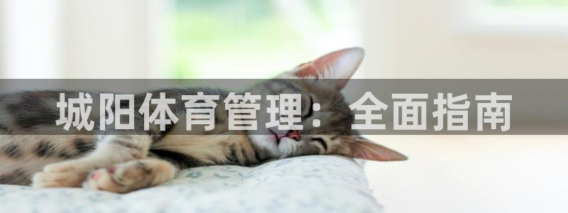必一体育登录入口AP