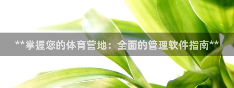 必一体育app下载装