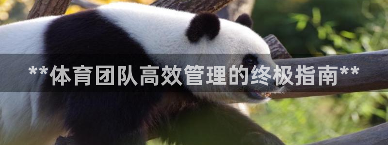 必一体育游戏玩法：*