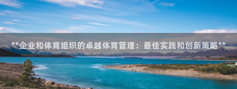 必一体育下载移动版：**企业和体育组织的卓越体育管理：最佳实