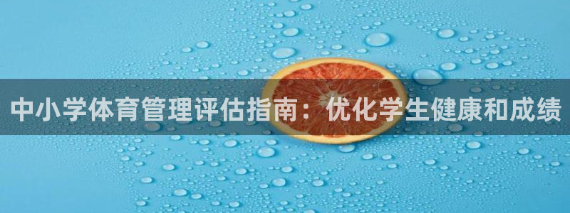 必一运动·(B-Sports)：中小学体育管理评估指南：优化