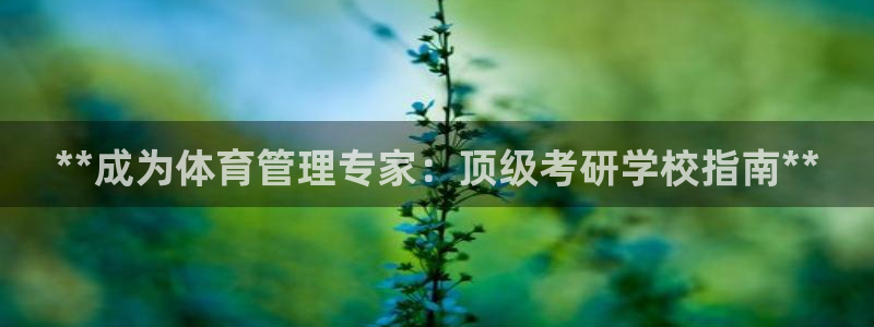 必一体育app官方下