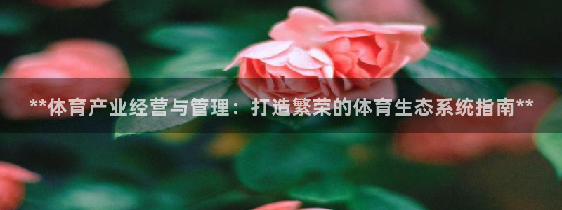 b体育必一运动网页版