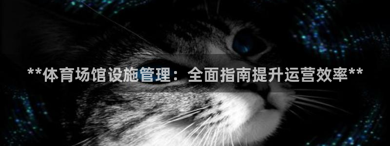 必一体育平台：**体育场馆设施管理：全面指南提升运营效率**