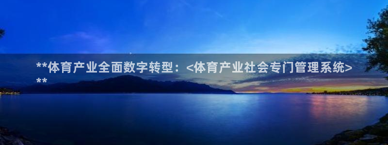 必一体育电子app：