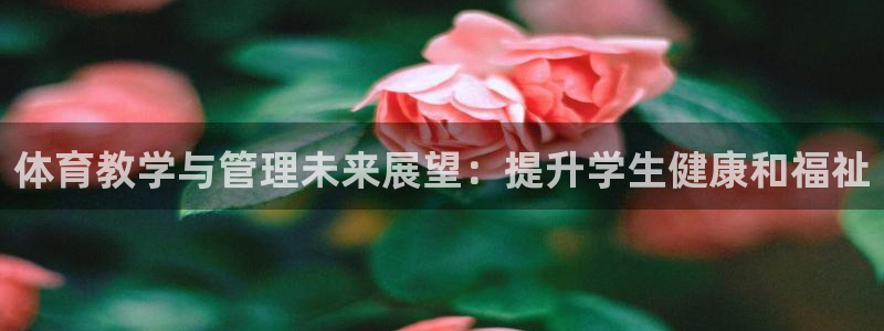 必一体育没了：体育教学与管理未来展望：提升学生健康和福祉