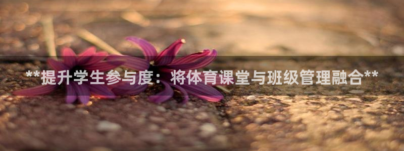 必一运动：**提升学